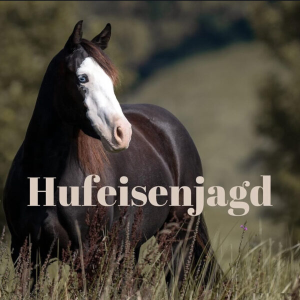 Hufeisenjagd 2024