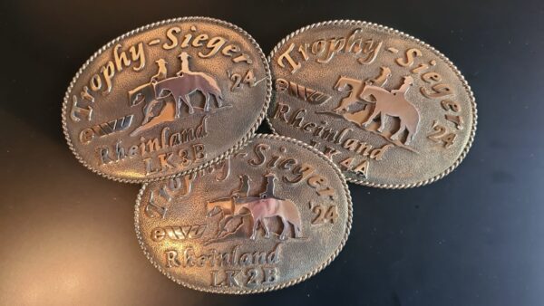 Buckle Leistungsklassensieger
