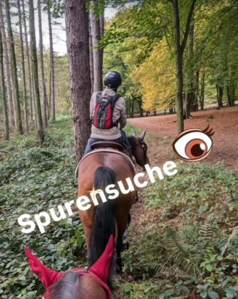 Hufeisenjagd