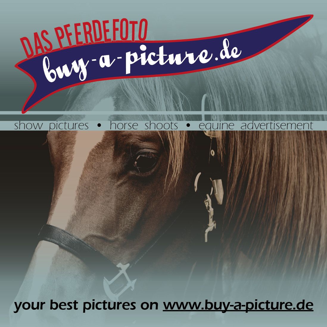 Buy a Picture