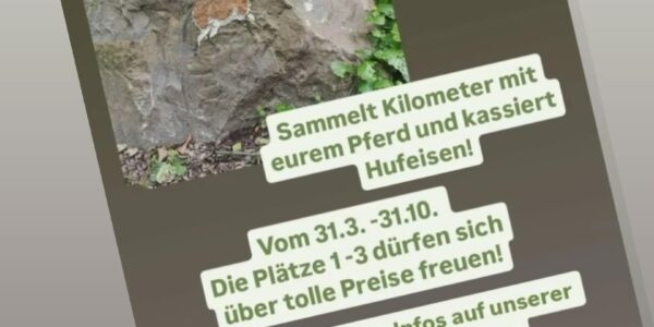 Preise der Hufeisenjagd 2025