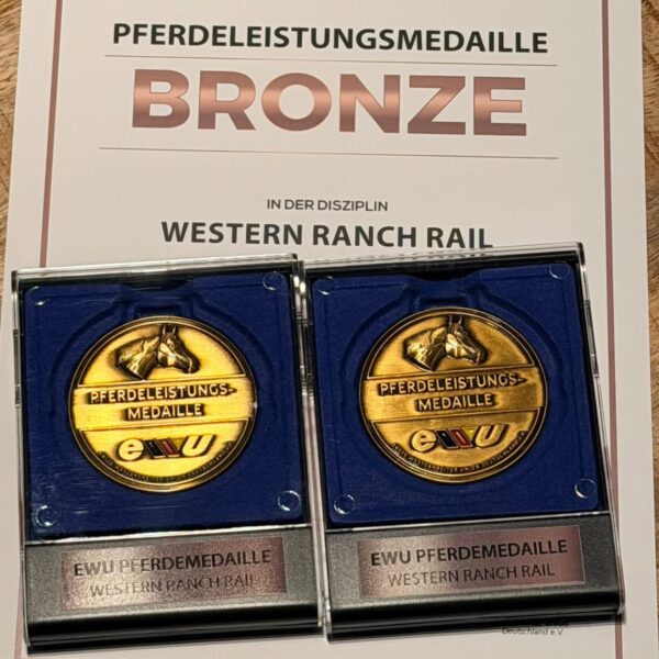 Trophy Party & Pferdemedaillen 21.11. ist Anmeldeschluss!!!