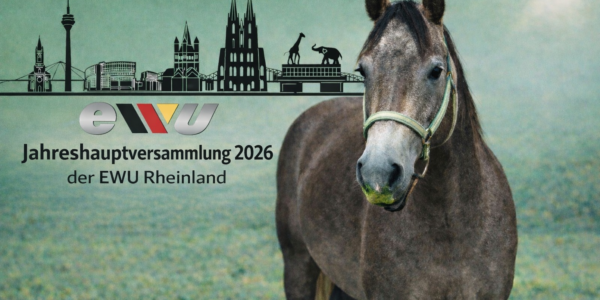 Starke Entscheidungen für eine starke Zukunft