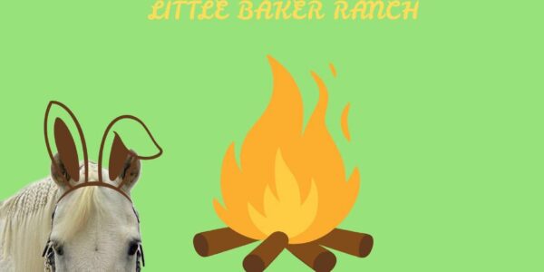 Osterfeuer EWU Treffpunkt