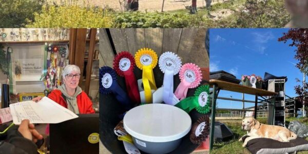 EWU C Turnier in Odenthal