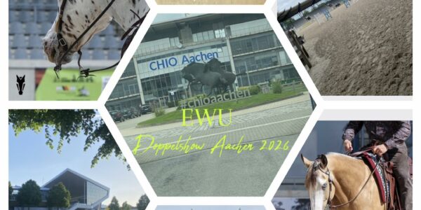 Doppelshow Aachen 2026