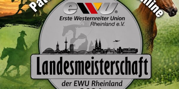 Pattern und Zeitplan online Landesmeisterschaft